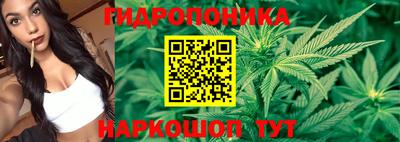 PSILOCYBIN Лесосибирск