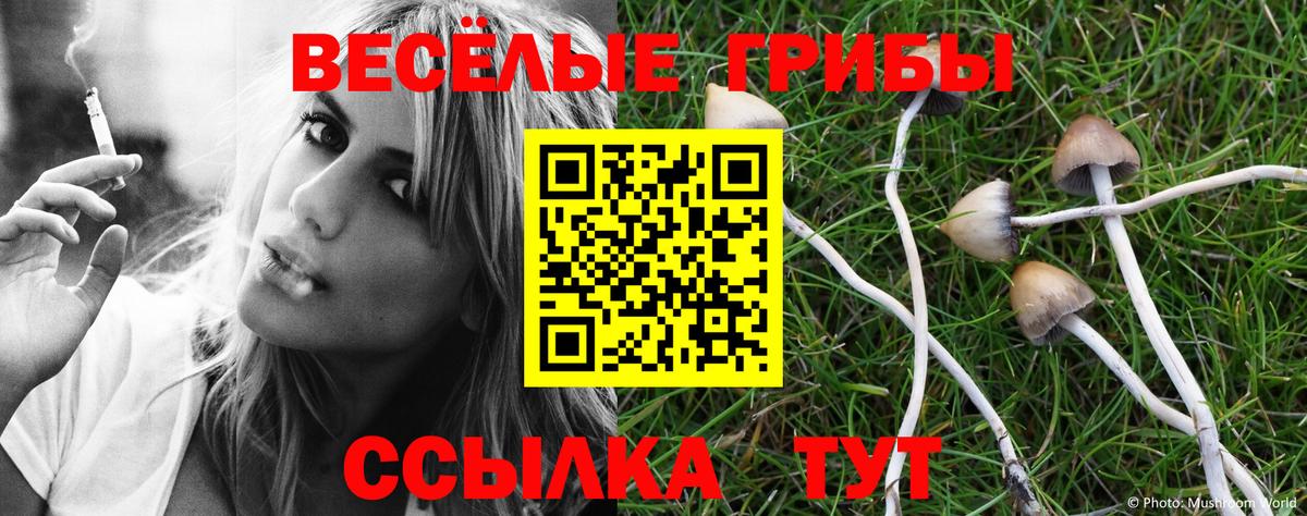 Псилоцибиновые грибы мухоморы Унеча
